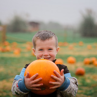 Daytime Pumpkin Festival at Rand Farm Park