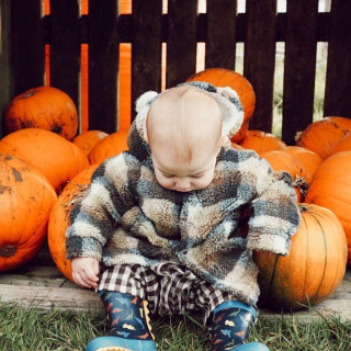 Toddler Pumpkin Festival at Rand Farm Park