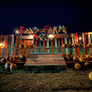 Night Time Pumpkin Festival at Rand Farm Park