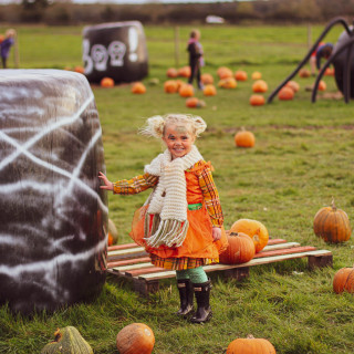 Toddler Pumpkin Festival at Rand Farm Park