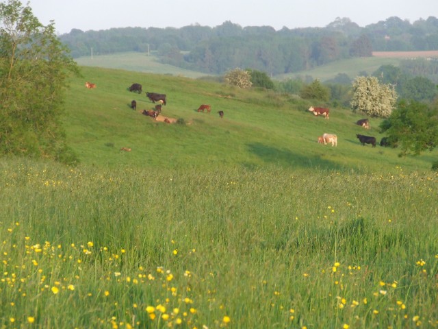 Furze Hill House Farm Caravan Camping